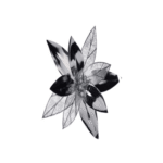 FLOR DECOR