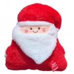 COJIN NAVIDAD SANTA